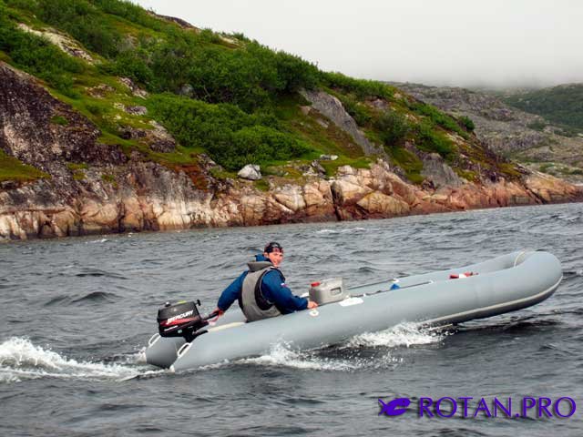 Ротан Р 500 Э Л Ротан Р 500 Э Л